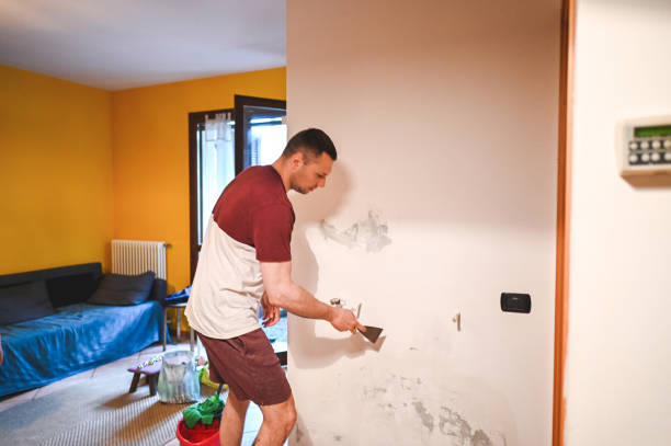 Best Mold Removal Company Near Me  in Temple Terrace, FL